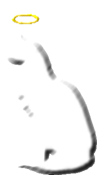 In Loving Memory My Cat-Cat